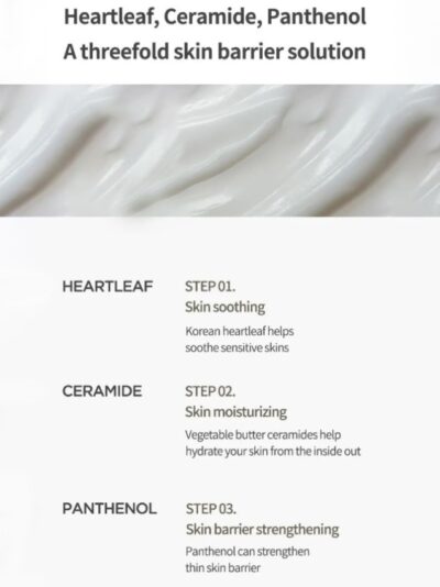 ANUA Heartleaf 70% Intense Calming Cream 50ml - Image 3