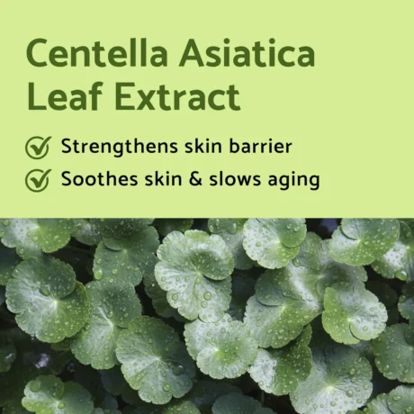 iUNIK – Centella Mini Set
